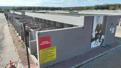 Antalya’da Patili Dostlar İçin Umut Yılı: Binlerce Can Kurtarıldı!
